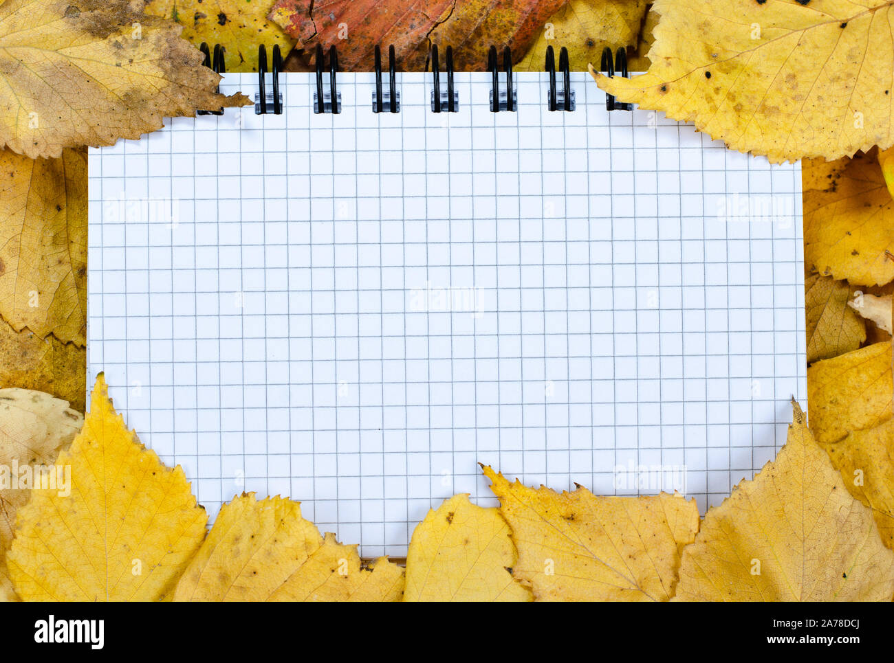 Composizione di autunno piscina . Vuoto foglio notpad circondato con autunno arancione ruggine foglie . Vista dall'alto , Copia , spazio laici piana . Foto Stock