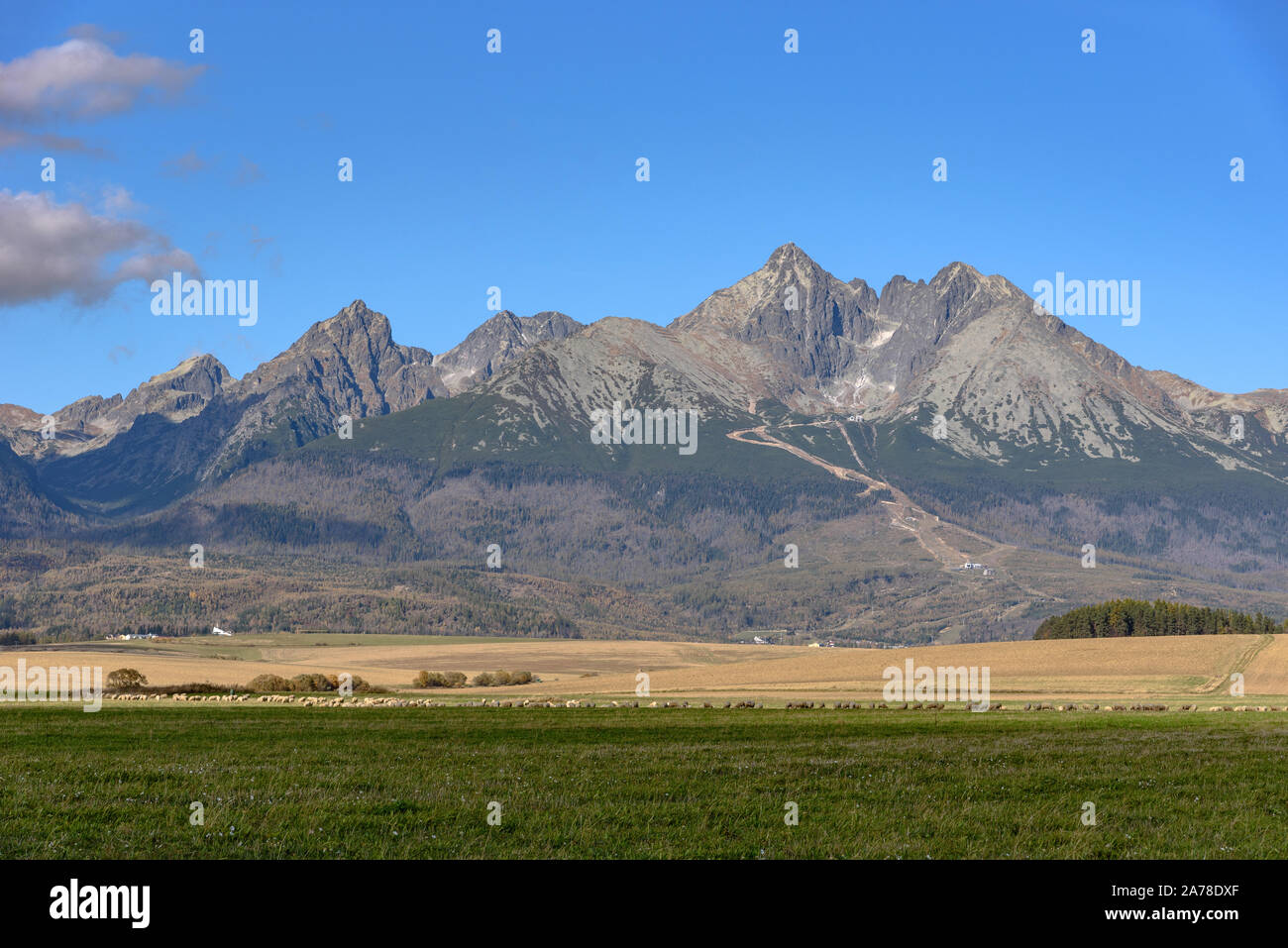 Il picco di Lomnicky nella parte orientale di Alti Tatra visto da un campo Foto Stock