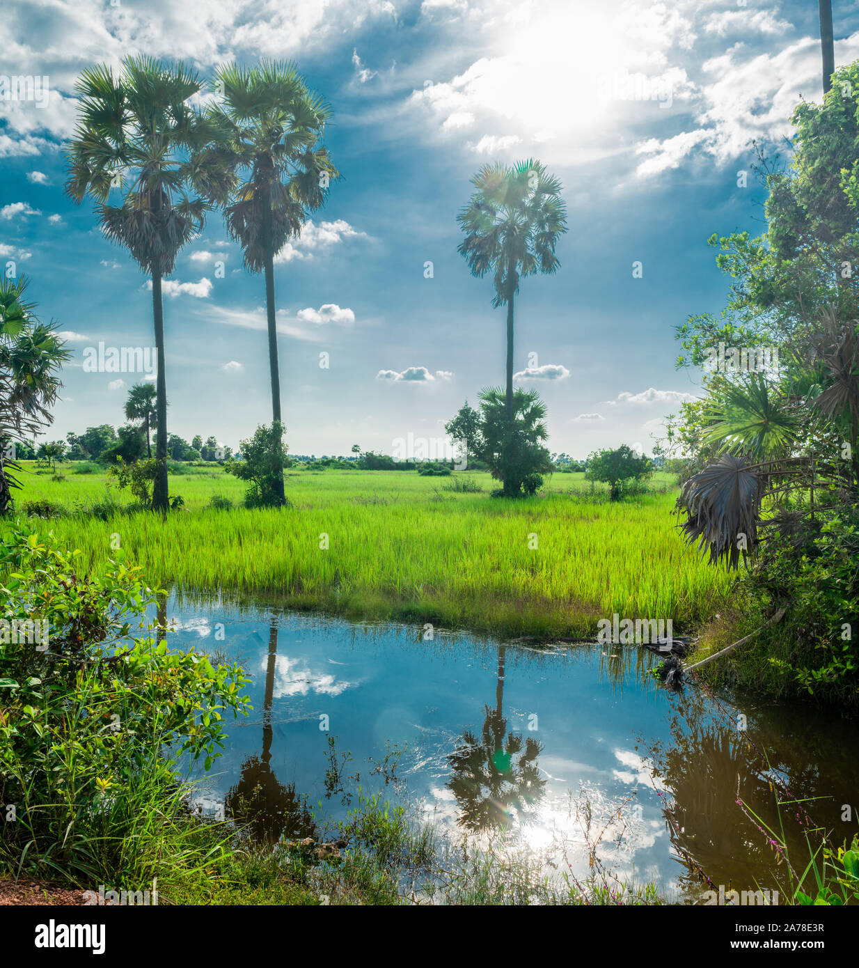 Campagna Foto Stock