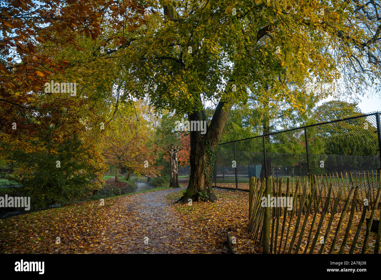 Colori autunnali, Roath Park, Roath, Cardiff, Galles, UK. Foto Stock