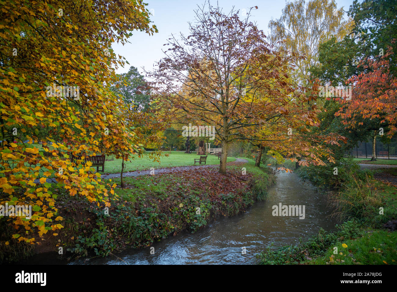Colori autunnali, Roath Park, Roath, Cardiff, Galles, UK. Foto Stock