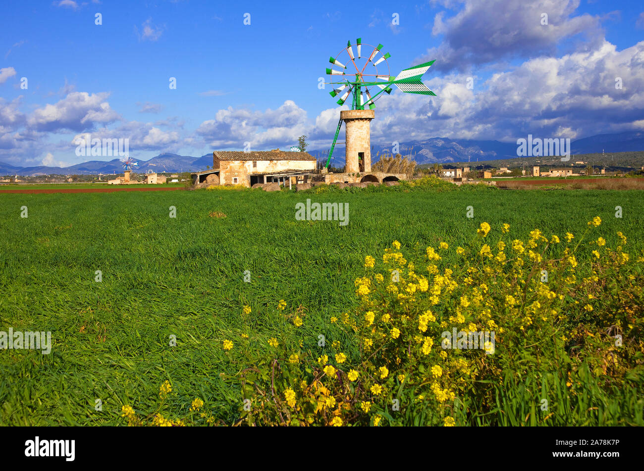 Mulini a vento, sollevamento di acqua mulino a Sant Jordi, Maiorca, isole Baleari, Spagna Foto Stock