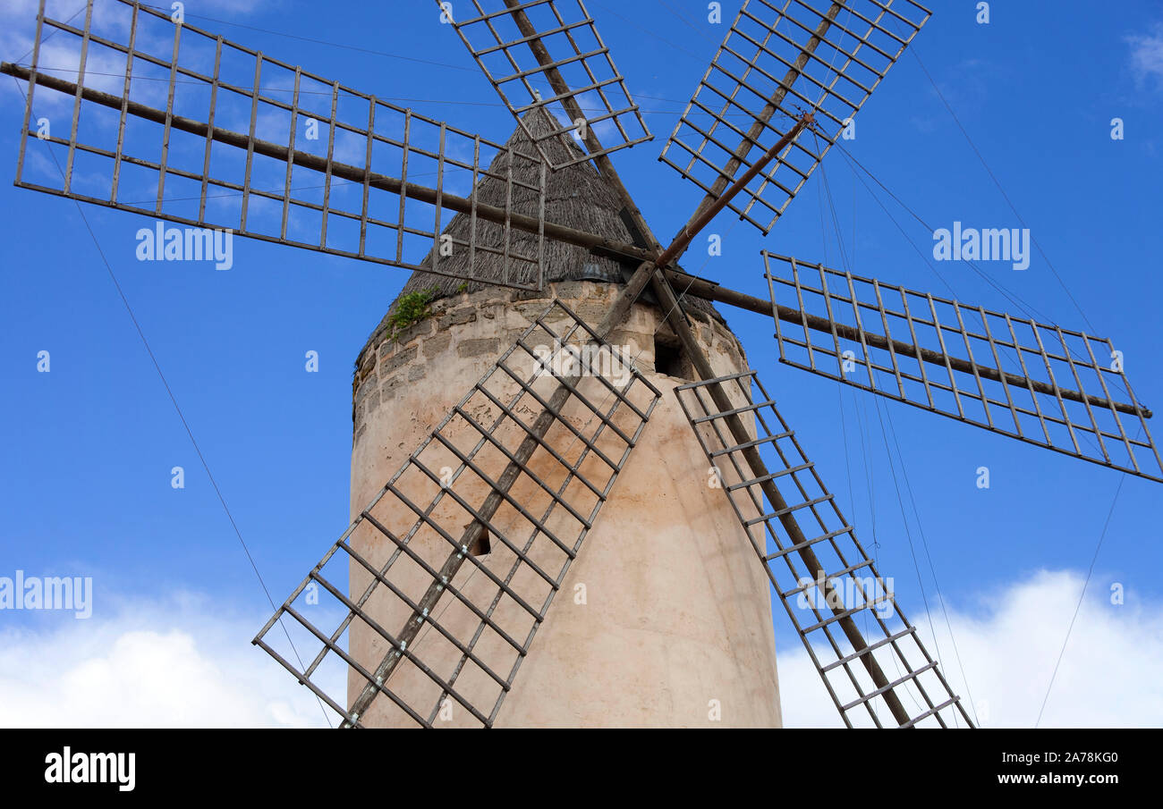 Il mulino a vento a Palma, Palma de Mallorca, Maiorca, isole Baleari, Spagna Foto Stock