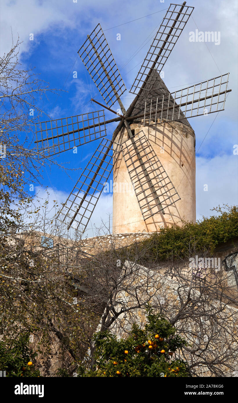 Il mulino a vento a Palma, Palma de Mallorca, Maiorca, isole Baleari, Spagna Foto Stock
