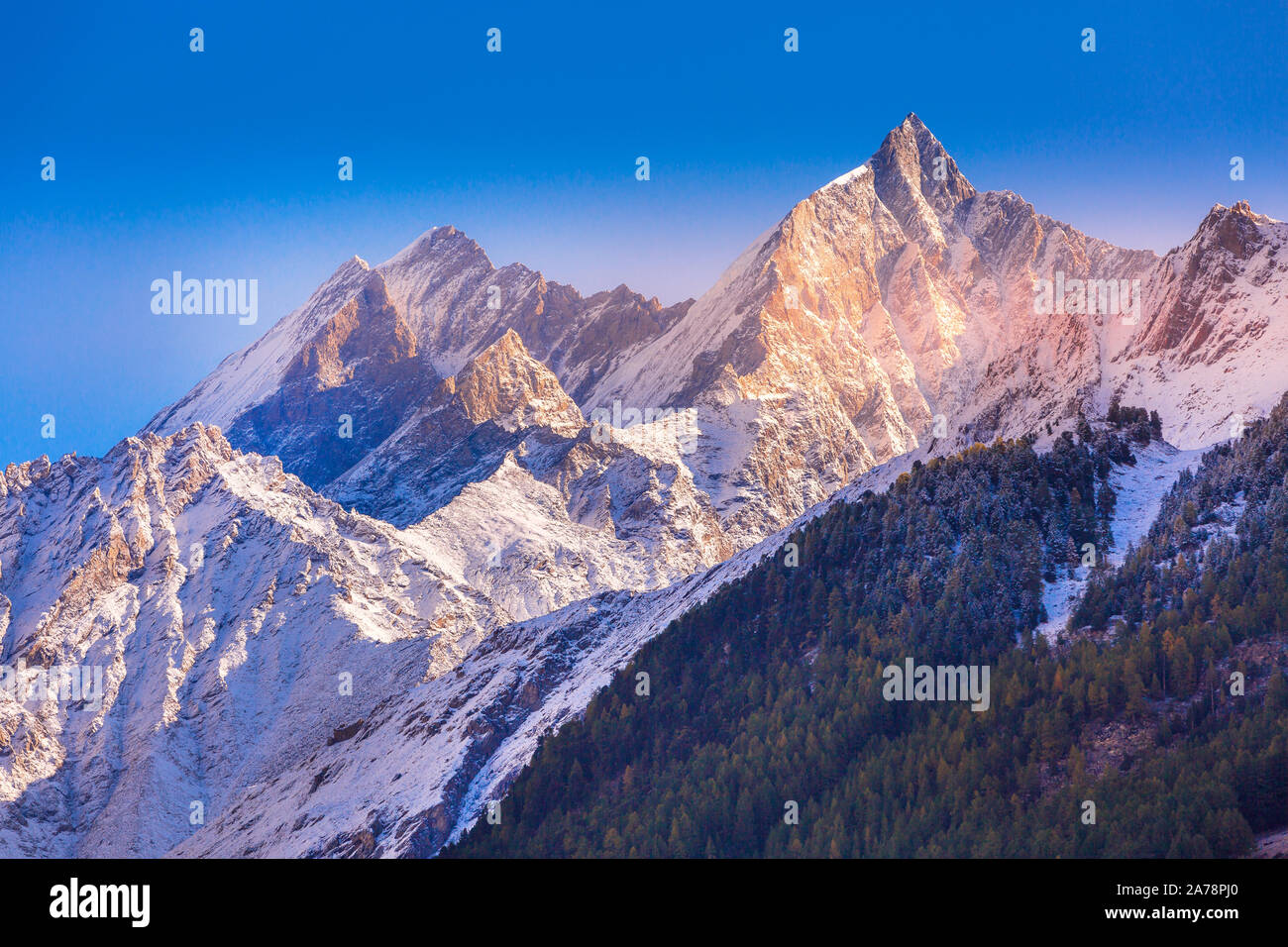 Alpi svizzere in Svizzera, autunno alberi e picchi innevati in Zermatt Foto Stock