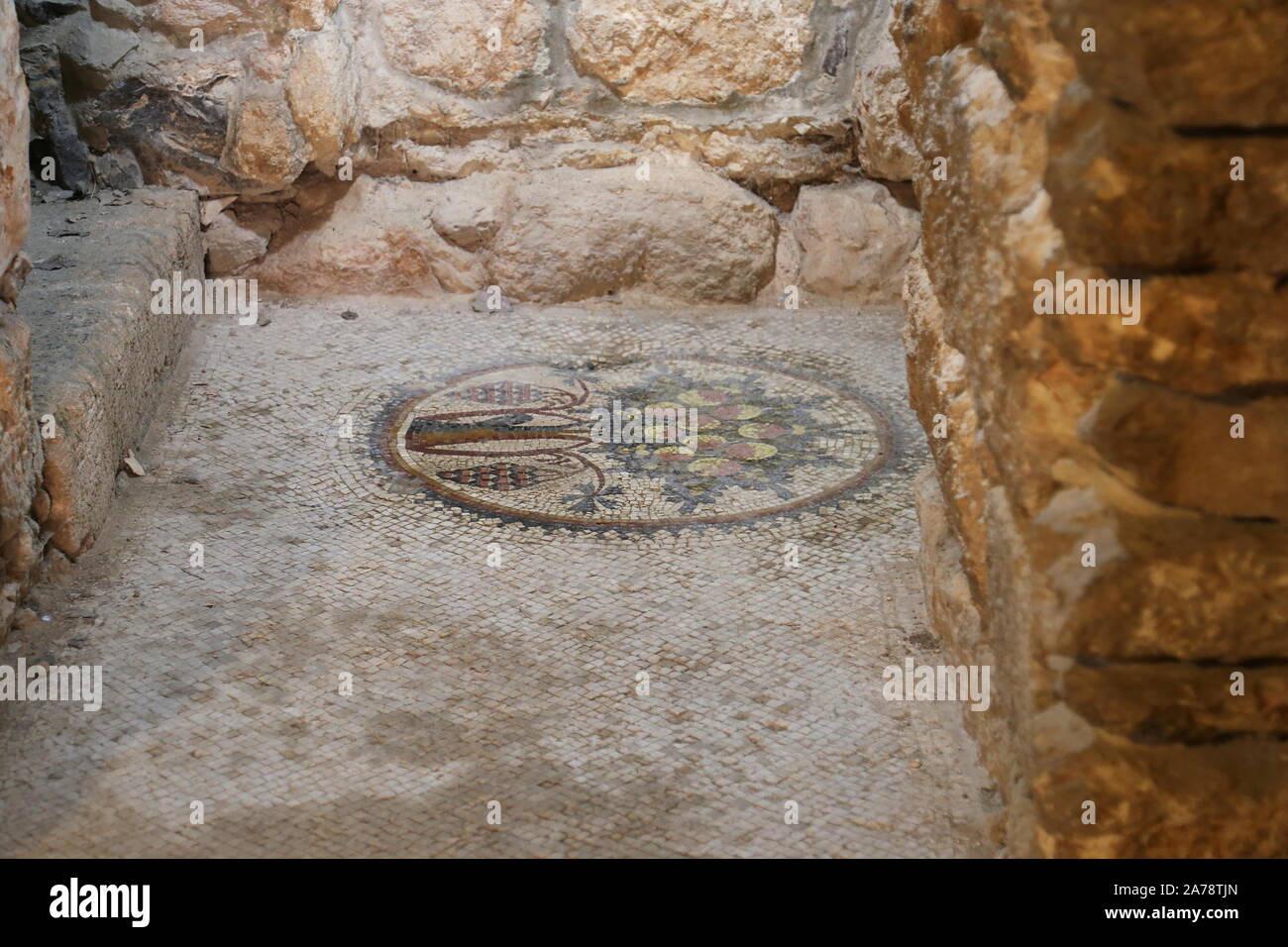 Mosaico dell'albero di Madaba, cripta di Sant'Eliano, Parco Archeologico, Via Abu Bakr come Siddiq, Madaba, Governatorato di Madaba, Giordania, Medio Oriente Foto Stock