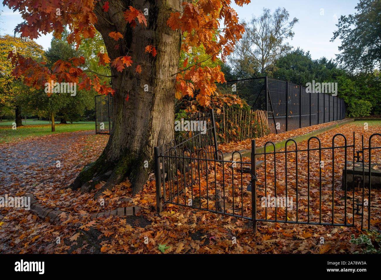 Colori autunnali, Roath Park, Roath, Cardiff, Galles, UK. Foto Stock