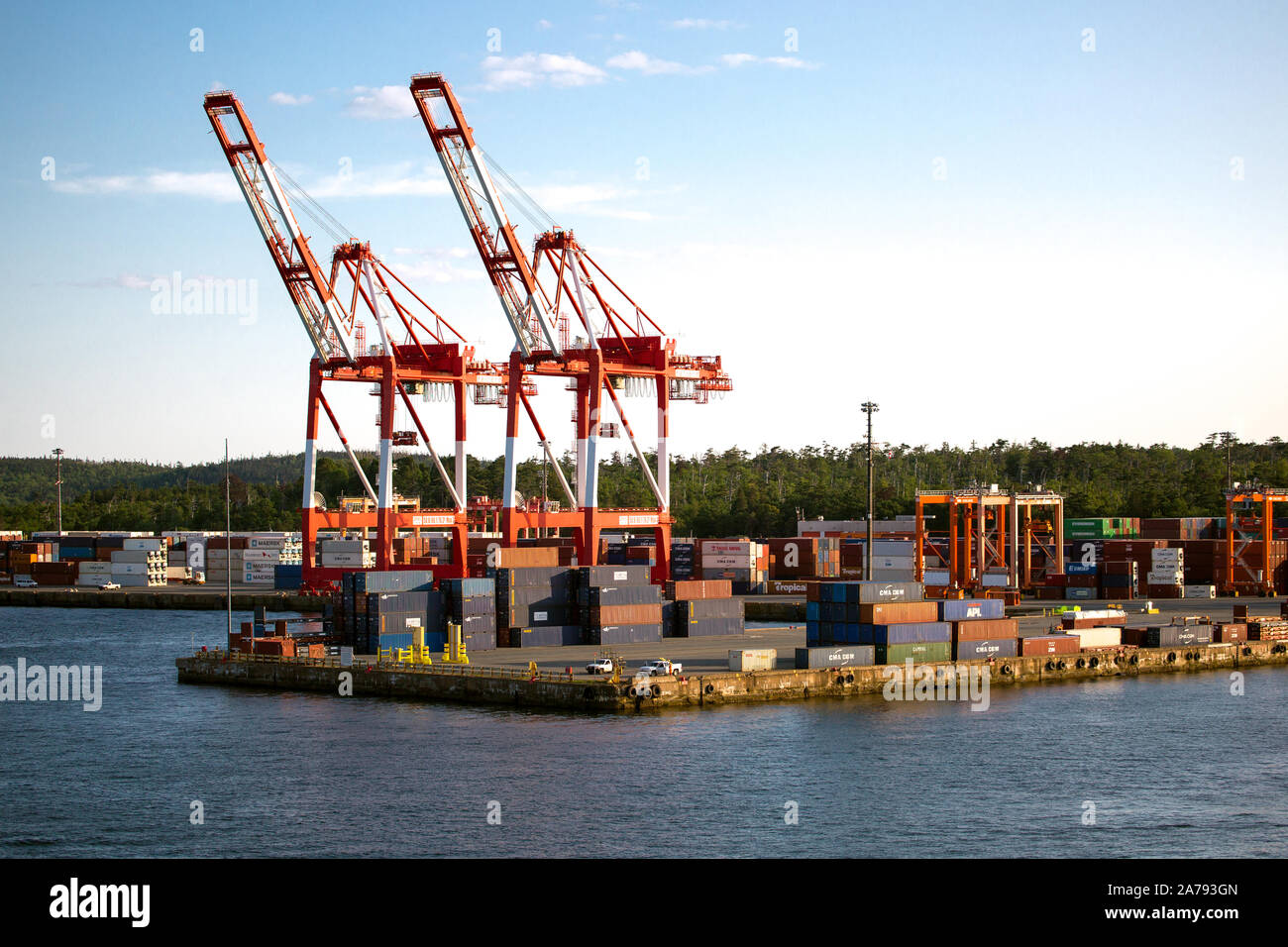 Canada, porto di halifax. Terminal delle navi container della nuova scozia. Terminal container Halterm. Gru Starporter con capacità di 40 tonnellate Foto Stock