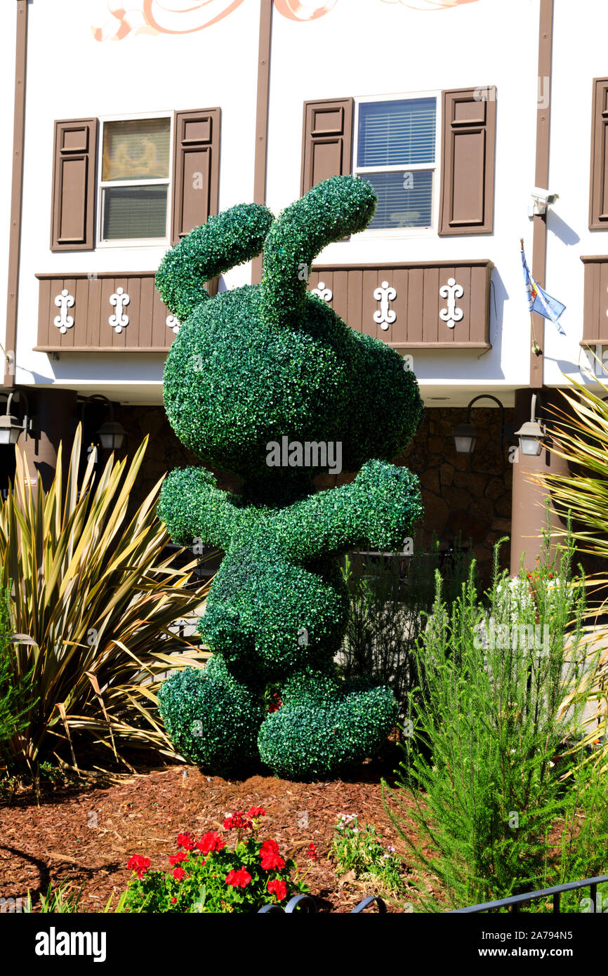 Topiaria da visualizzare di Snoopy, Charles M Schultz museum, Redwood Ice Arena, il pattinaggio su ghiaccio, Santa Rosa, California, Stati Uniti d'America Foto Stock