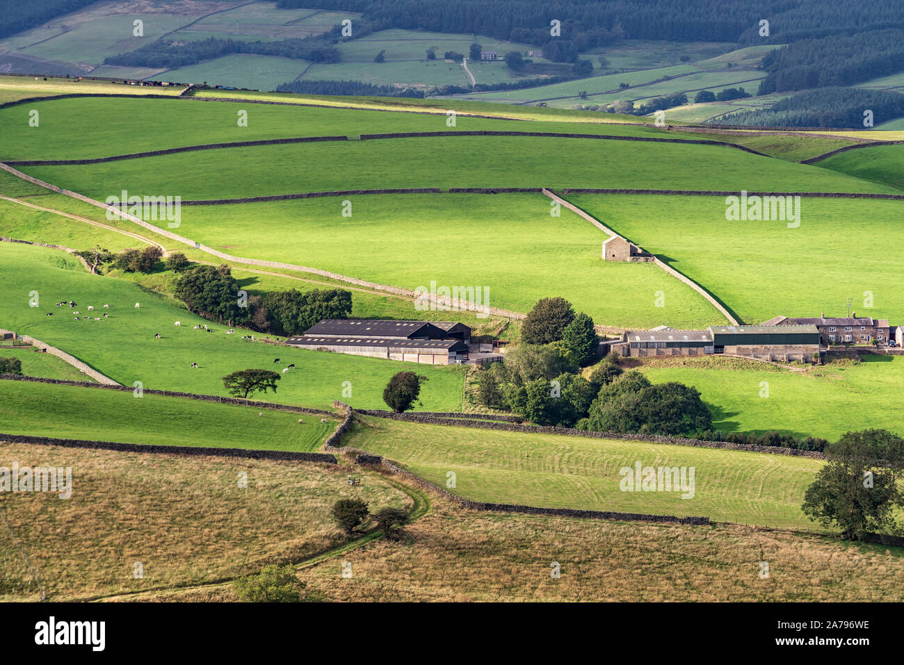 Edifici agricoli, campi verdi, muri in pietra a secco e da un fienile, Nidderdale, North Yorkshire, Inghilterra. Foto Stock