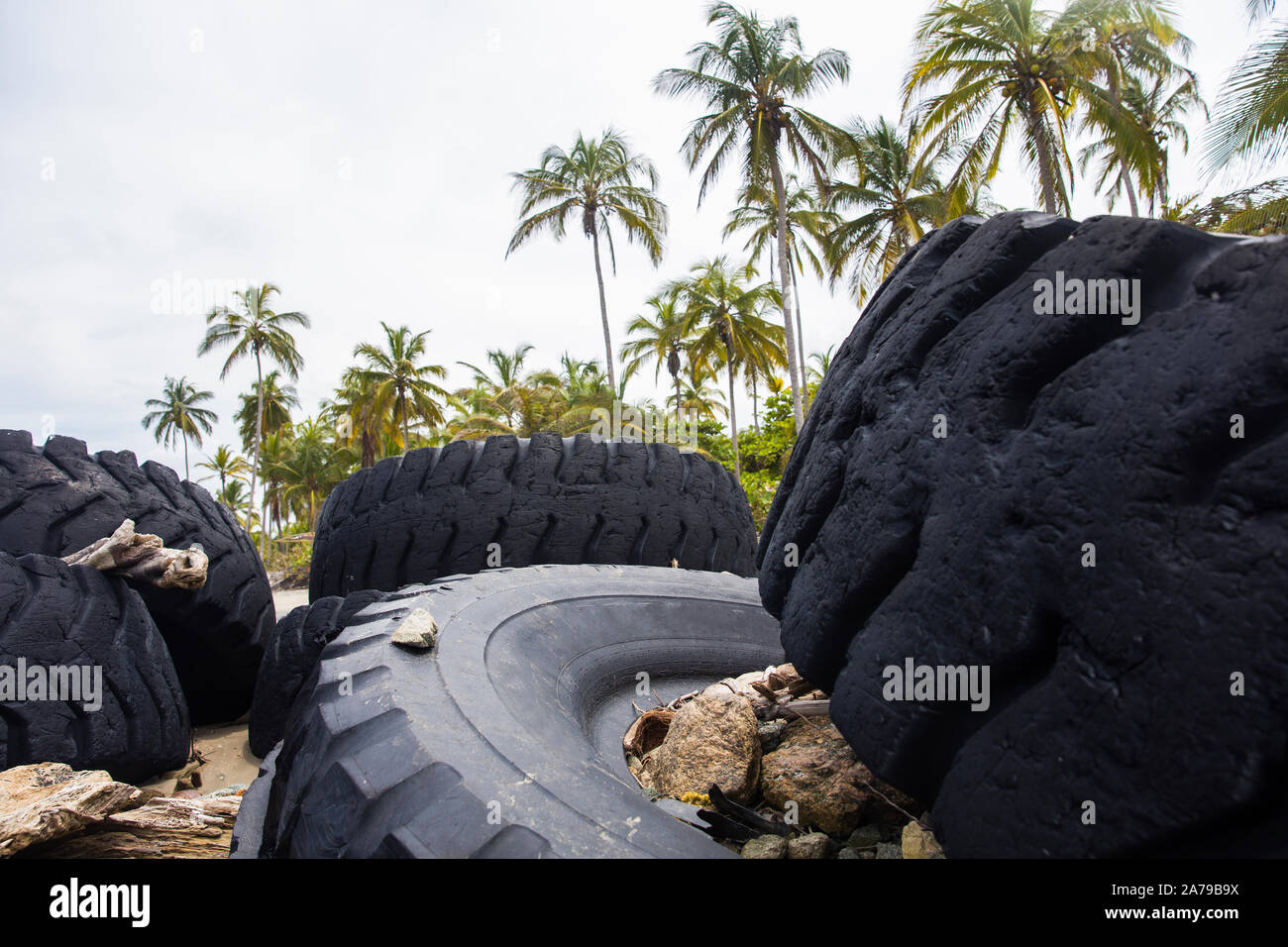 Utilizzate le ruote del carrello nella foresta tropicale come concetto di inquinamento Foto Stock
