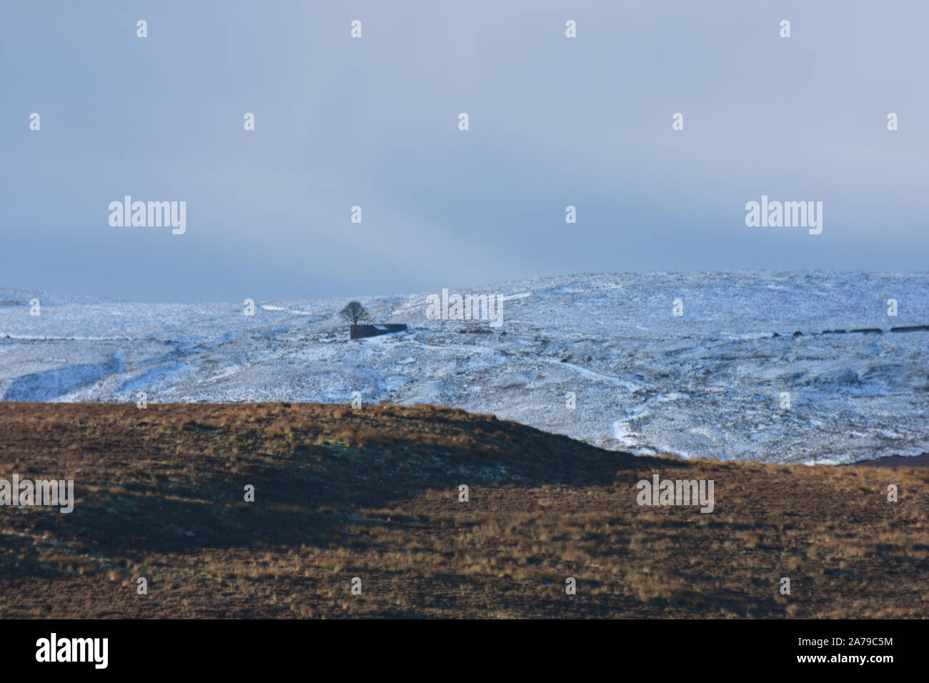 Top distanti ambiti in inverno, Bronte Country Foto Stock