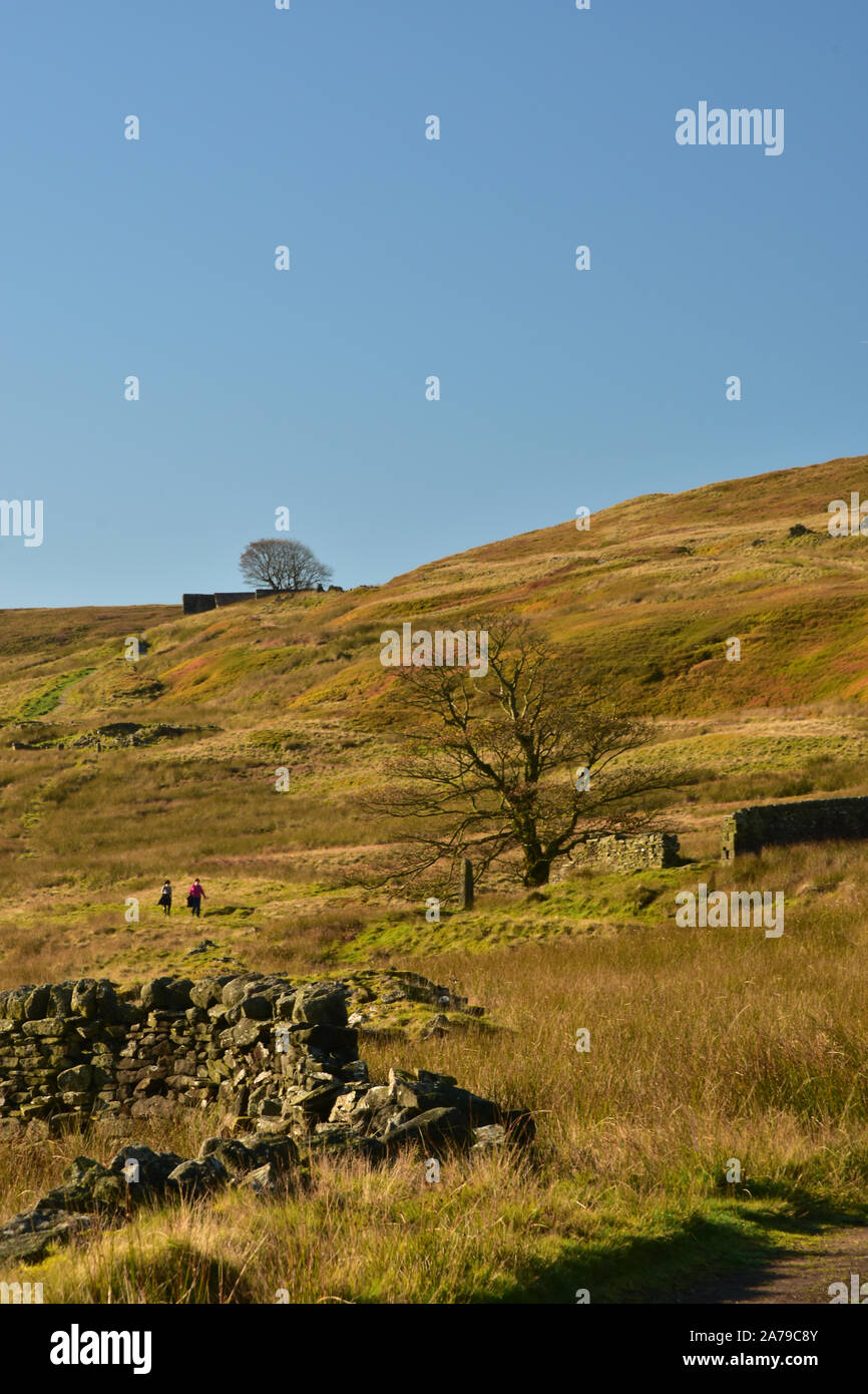 Percorso al Top ambiti in autunno Sunshine, Bronte Country, Foto Stock