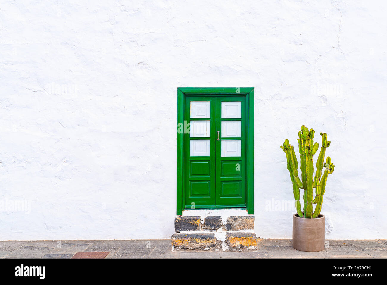I grandi vasi con piante di cactus contro il muro bianco con porta verde Foto Stock