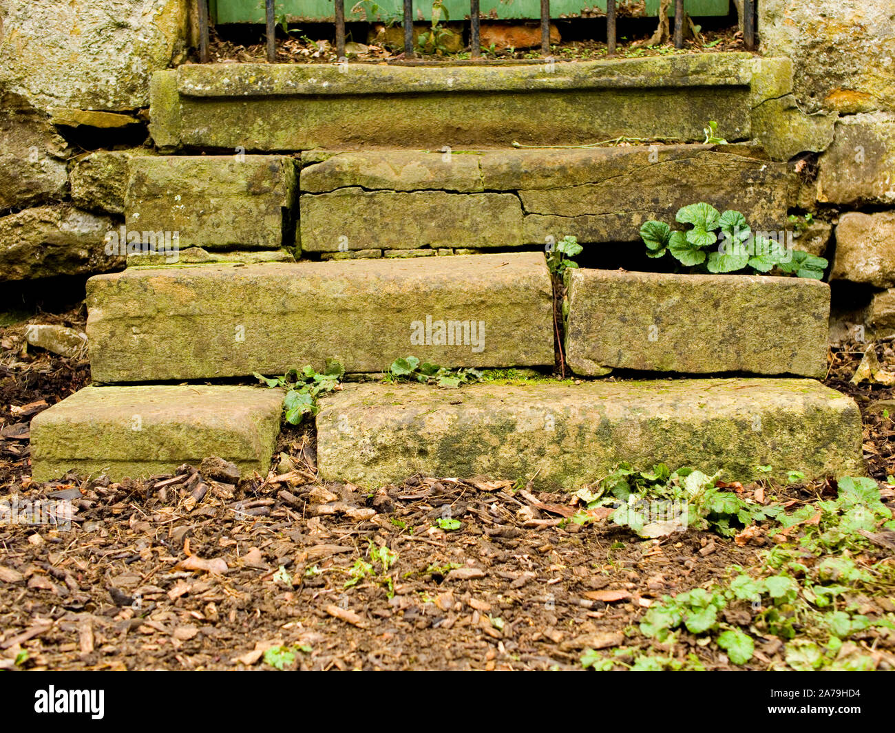Vecchia ricoperta di gradini di pietra a Delapre Abbey giardino in stile vittoriano, Northampton, Regno Unito Foto Stock