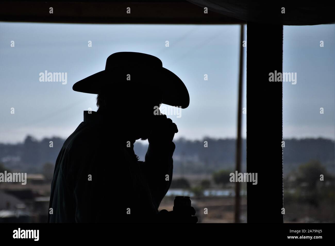 Uomo con cappello da cowboy che beve birra in silhouette all'interno Foto Stock