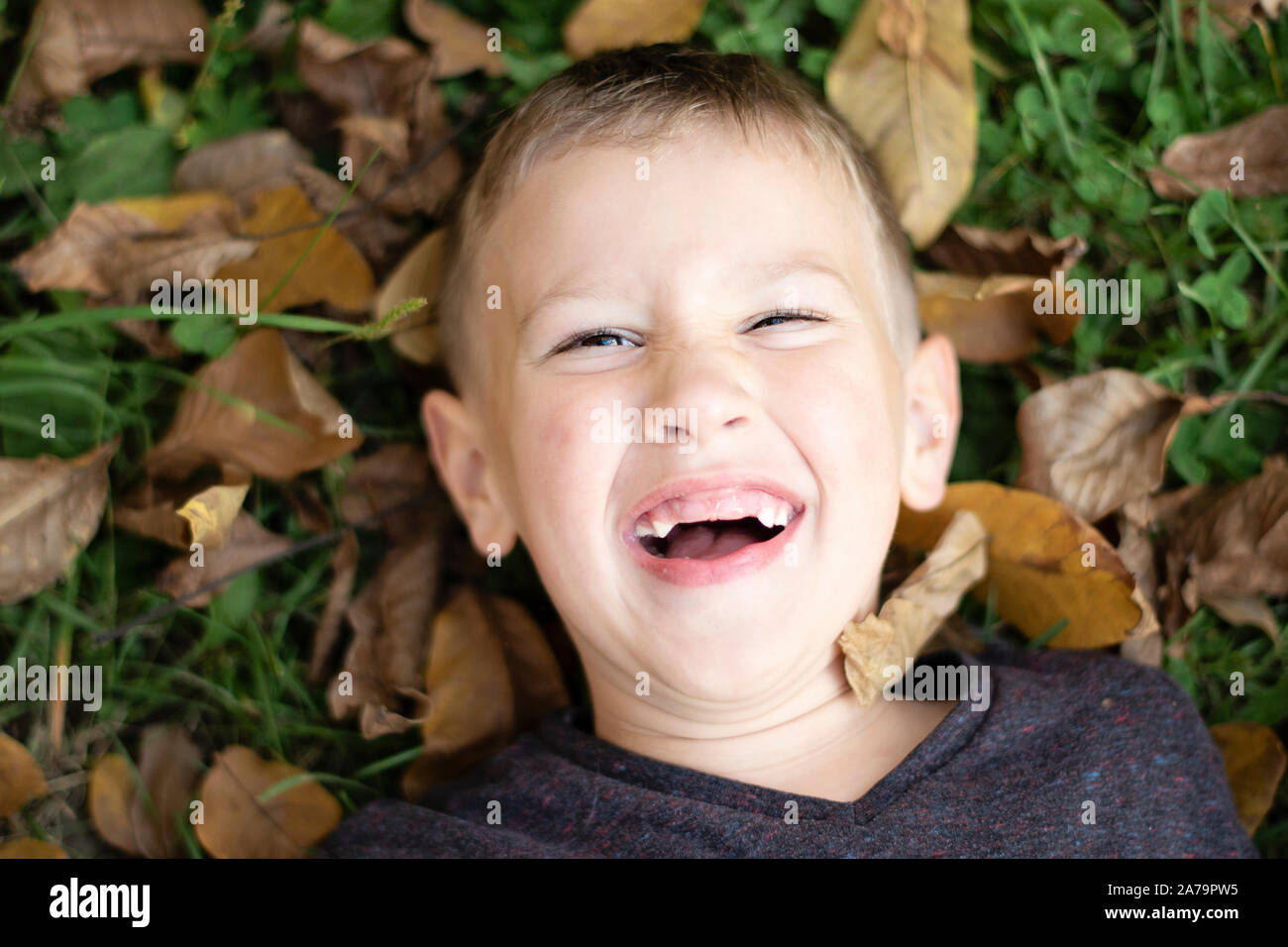 Ritratto di un giovane felice di pre-scuola ragazzo sdraiati sull'erba e foglie secche e ridere in parco pubblico in autunno. Ragazzo caucasico divertendosi in autunno. Foto Stock