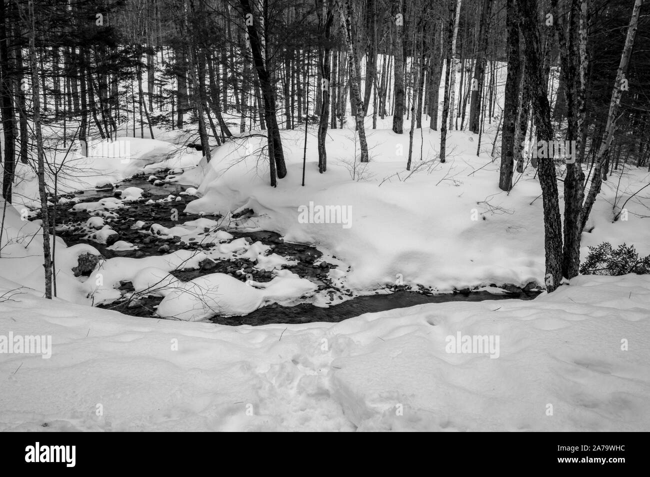 Escursioni intorno a New Hampshire e del Quebec Foto Stock
