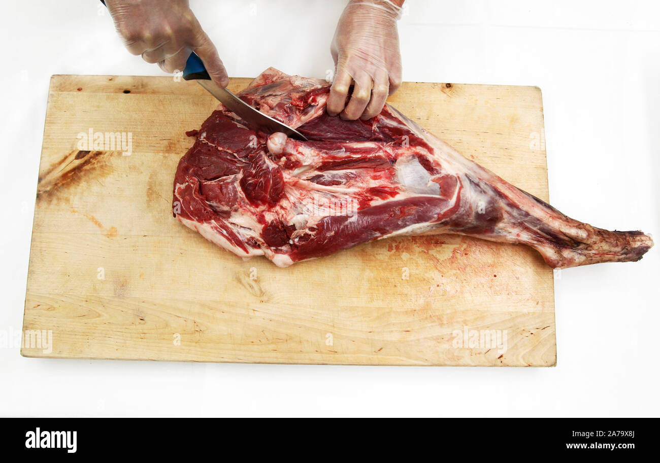 La carne di cinghiale. Nella cucina di un ristorante. Foto Jeppe Gustafsson Foto Stock