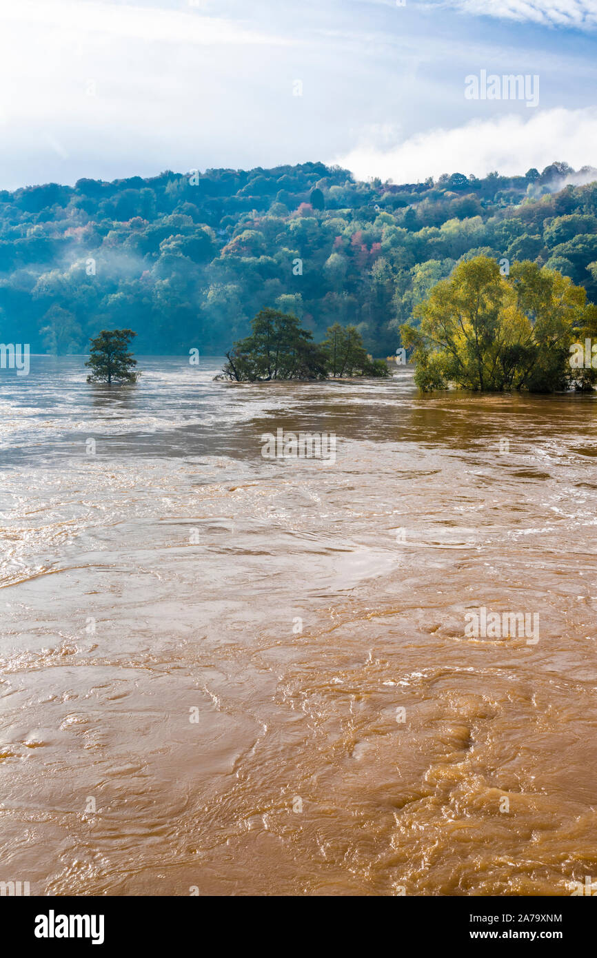 Il fangoso, limoso acque del fiume Wye in alluvione sulla 28.10.2019 a Kerne Bridge, Herefordshire UK - Le inondazioni era causato dalla pioggia pesante in Galles. Foto Stock