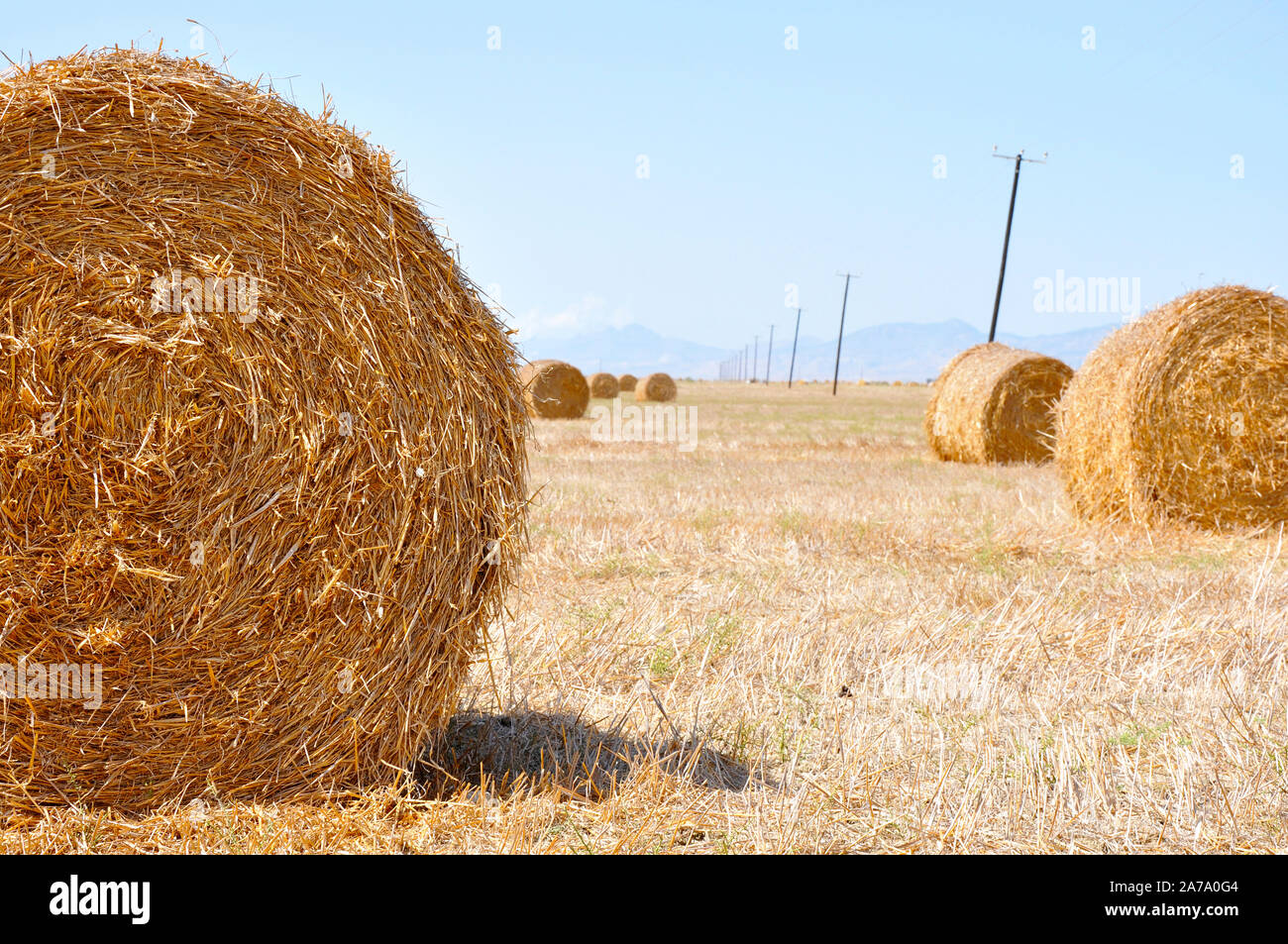 Balle di fieno sul campo dopo il raccolto, nel mezzo di Cipro Foto Stock