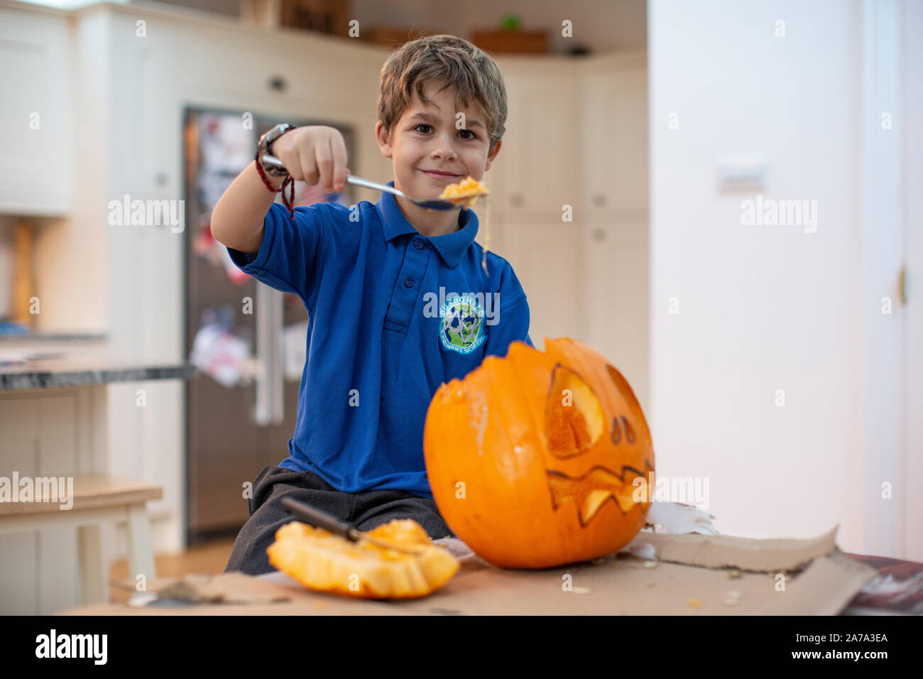 Ragazzo di 6 anni che raschia la cotenna all'interno di una zucca scolpita davanti a Halloween, Inghilterra, Regno Unito Foto Stock