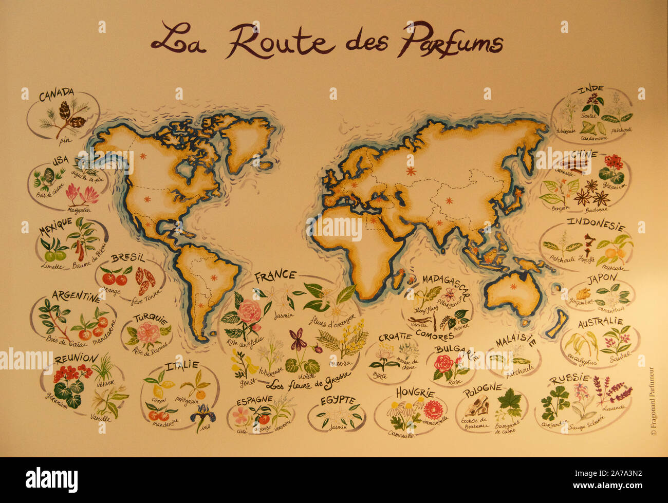 Mappa del mondo che mostra dove piante per i profumi sono trovati Grasse Provence Francia Foto Stock
