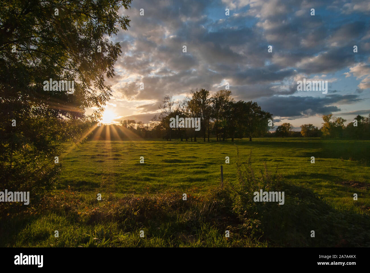 Tramonto con raggi solari nelle zone golenali fluviali in ottobre. Cielo drammatico e un paesaggio colorato. Foto Stock