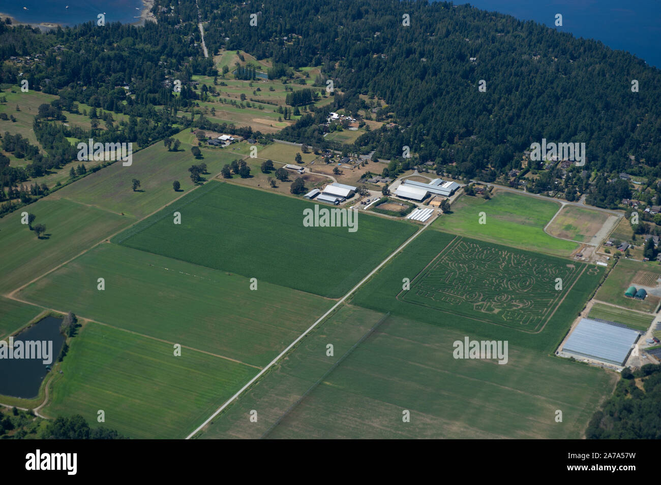 Una veduta aerea del parco riempito città di Victoria, British Columbia, Canada, sull'Isola di Vancouver. Foto Stock