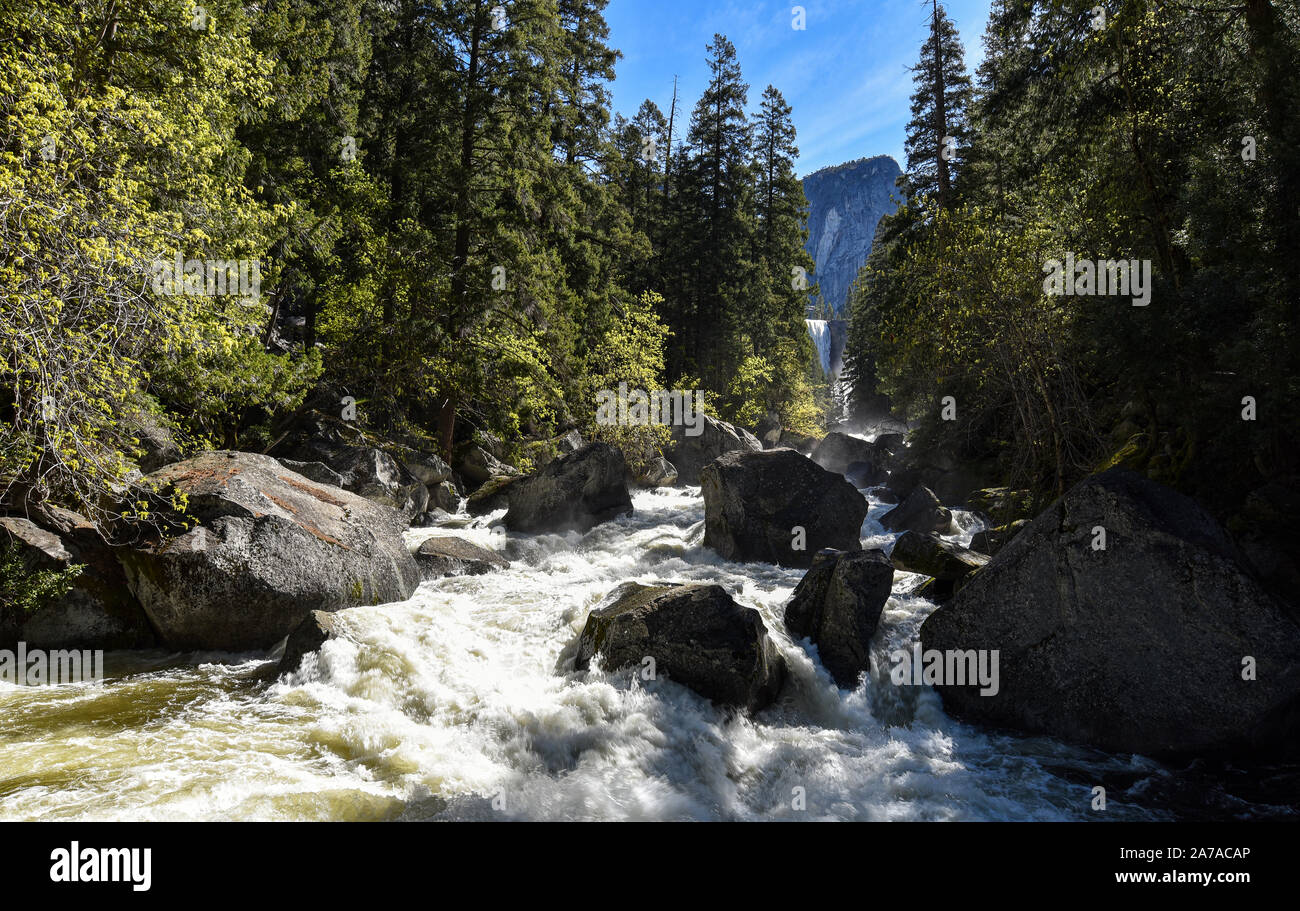 Il parco nazionale di Yosemite Valley, cascata e il fiume, Yosemite National Park, California, Stati Uniti d'America. Foto Stock