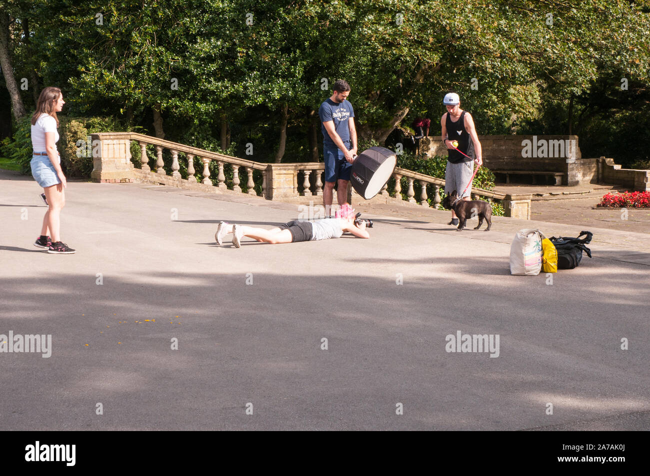 Ragazza distesa sul pavimento per scattare una foto di un cane mentre l'uomo può contenere apparecchiature di illuminazione e un altro detiene il cane al guinzaglio. Un'altra ragazza disegno cani attenzione Foto Stock