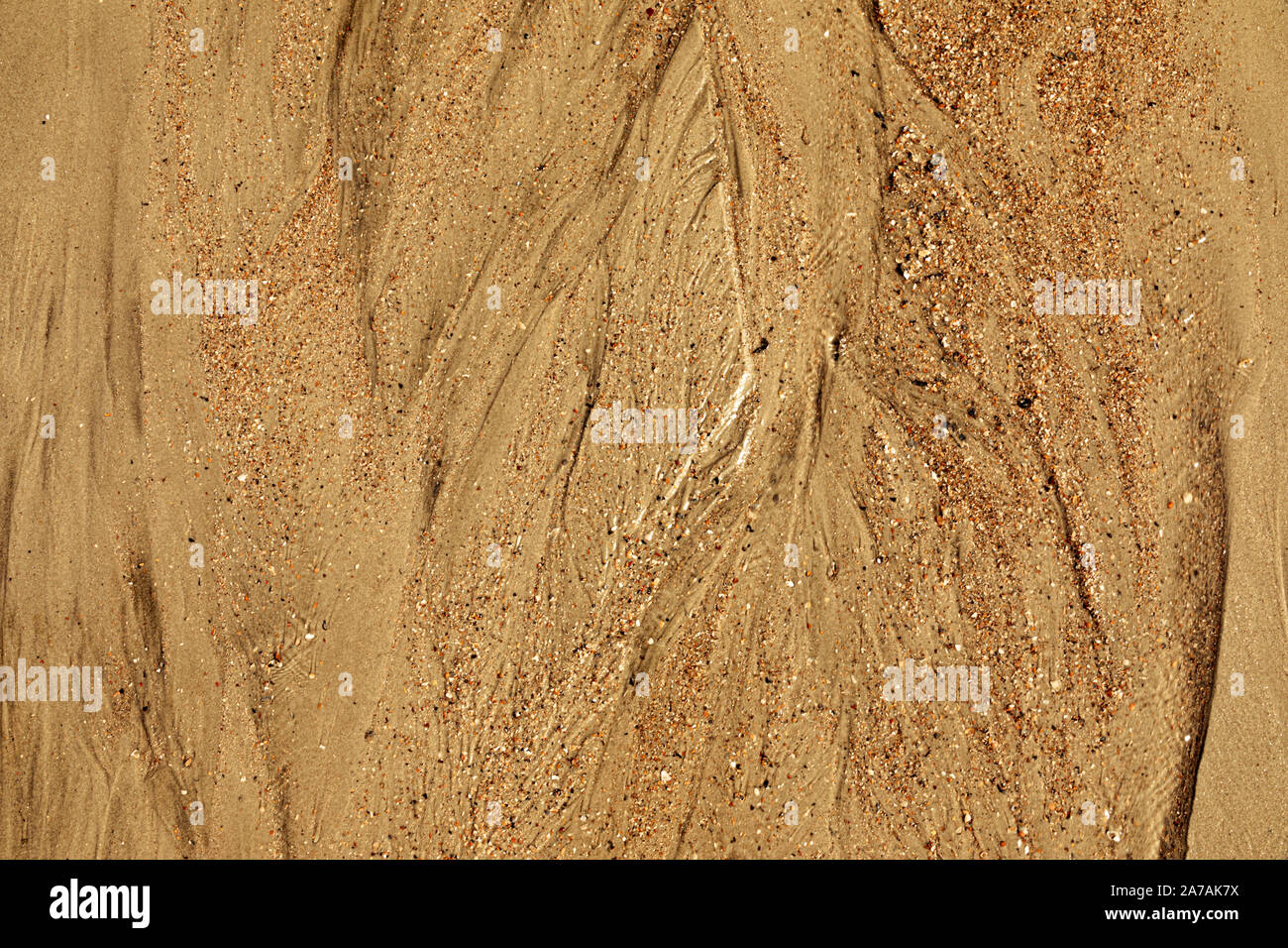 La natura della tecnica. Close-up di sabbia con modi di marea e conchiglie sulla spiaggia, piena di tessitura del telaio Foto Stock