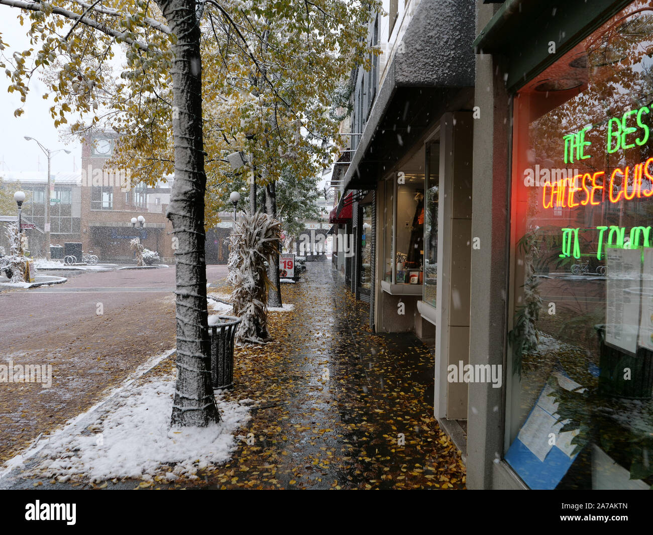 Oak Park, Illinois, Stati Uniti d'America. Il 31 ottobre 2019. Una seconda giornata di pesante, neve bagnata ha colpito questo sobborgo appena a ovest di Chicago. La neve ricopriva la zona e la città ha tanti rami di albero, che rimangono interamente leafed fuori e non è in grado di gestire il peso aggiuntivi. Foto Stock