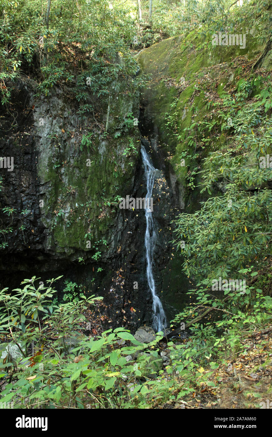 La spina dorsale cade nel Cherokee National Forest in Tennessee, USA Foto Stock