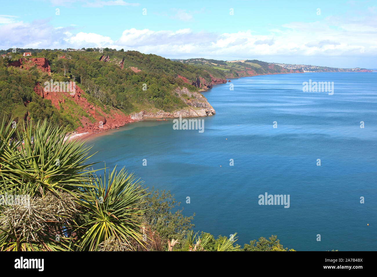 Babbacombe baia vista dalla scogliera cercando lungo la costa in direzione di Dawlish, Exmouth e il fiume Exe. Babbacombe è parte di Torquay, nel Devon. Foto Stock