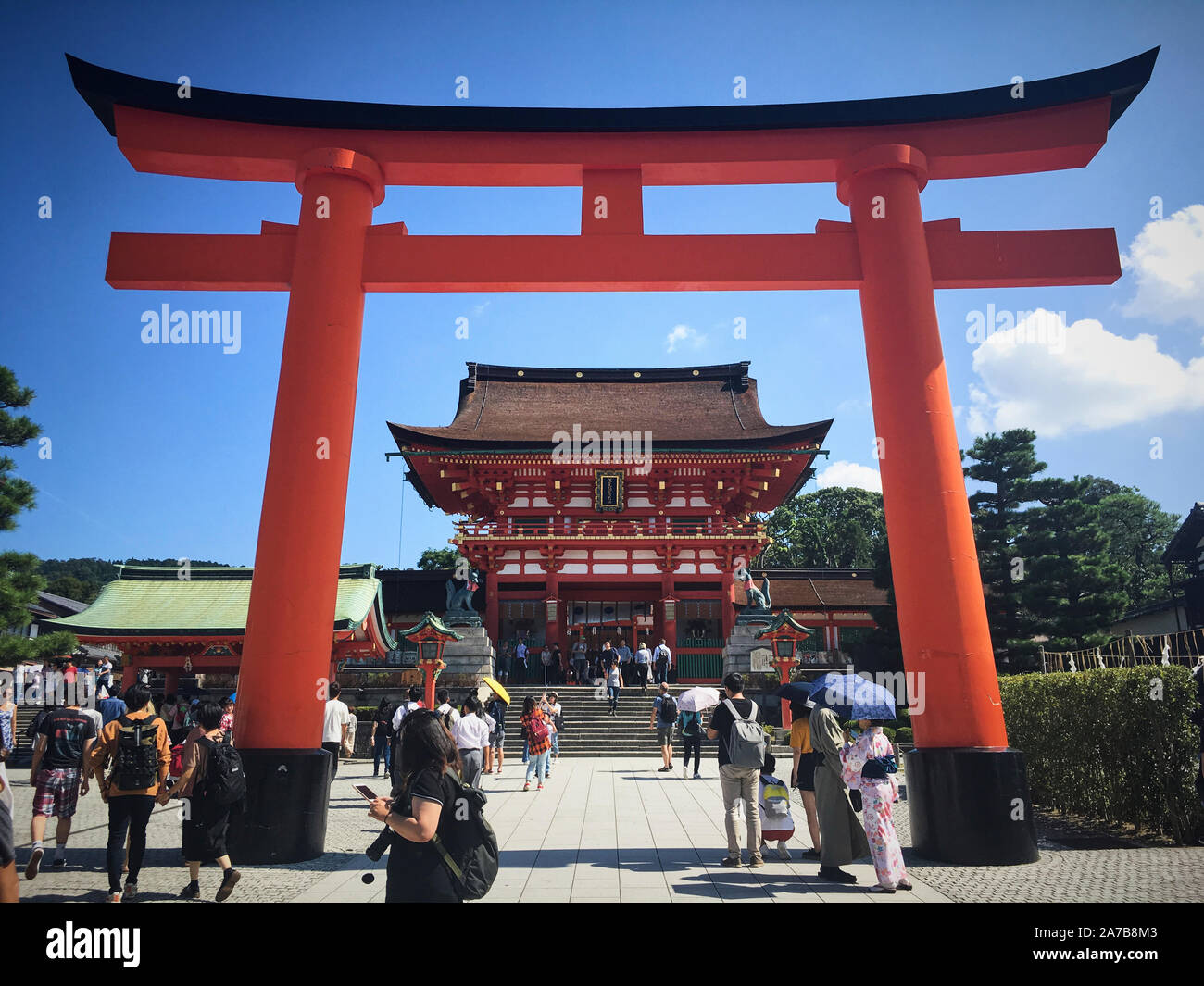 Il Torii gates di Fushimi Inari Taisha, Giappone. Fushimi Inari taisha-(伏見稲荷大社) è in testa al santuario di Inari Kami, situato in Fushimi-ku, Kyoto. Foto Stock