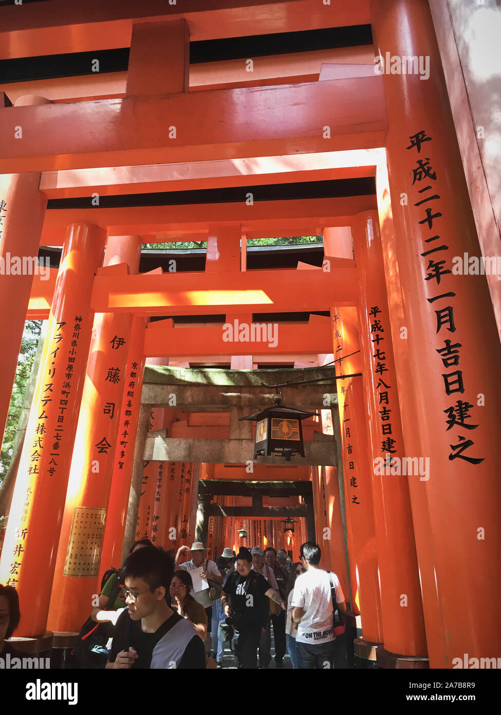 Il Torii gates di Fushimi Inari Taisha, Giappone. Fushimi Inari taisha-(伏見稲荷大社) è in testa al santuario di Inari Kami, situato in Fushimi-ku, Kyoto. Foto Stock