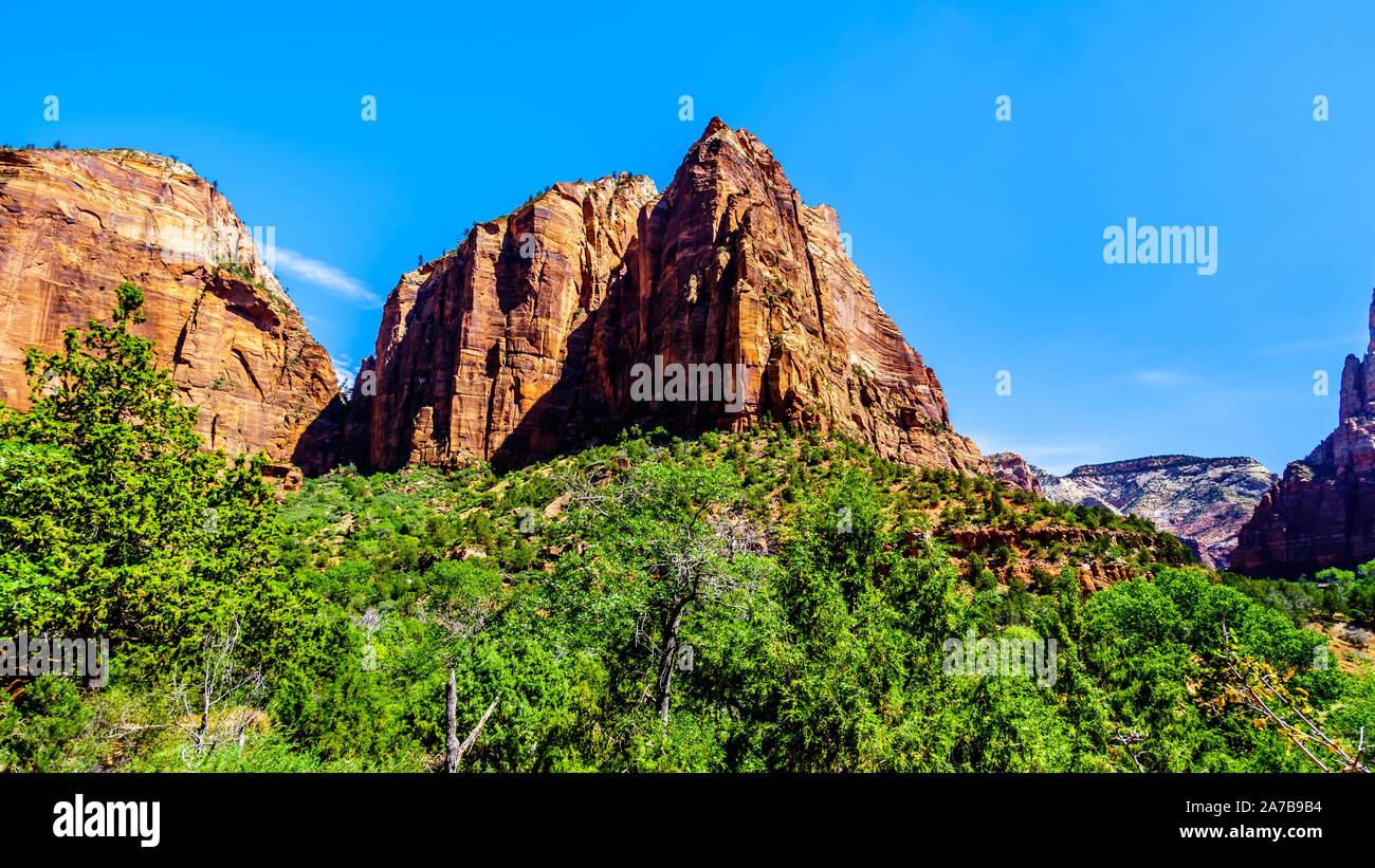 La punta di diamante picco nel Parco Nazionale di Zion, Utah, USA, visto dal pool di smeraldo Trail Foto Stock