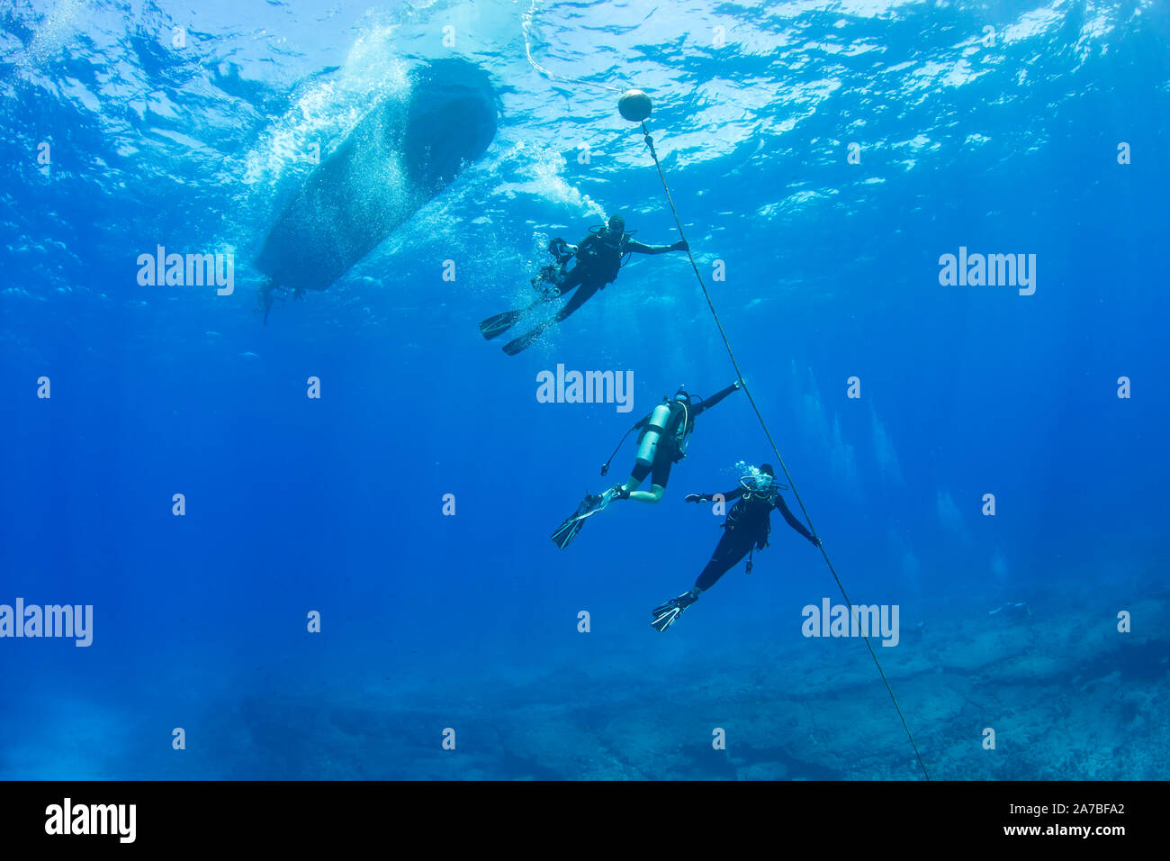 Divers (MR) allineati su una linea di ormeggio a off-gas prima di rifinitura, Costa di Kona, Hawaii. Foto Stock