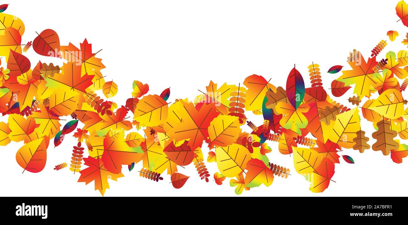 Foglie di autunno sparsi in background. Rovere, acero e rowan Illustrazione Vettoriale