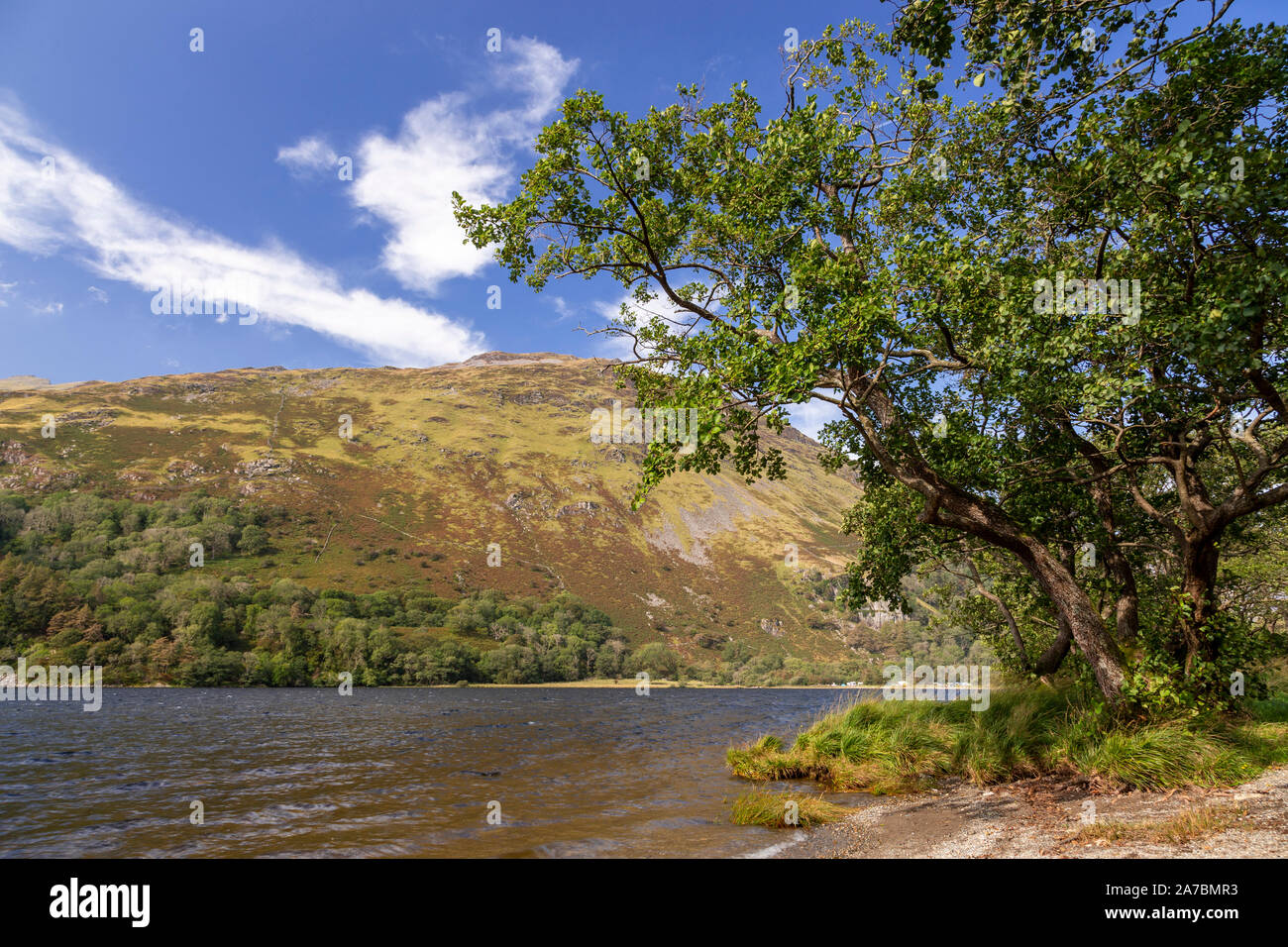 Llyn Gwynant in Snowdonia, il Galles del Nord su una soleggiata giornata estiva Foto Stock