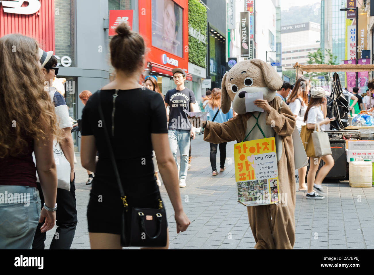 Un cane cafe dipendente in un costume tenta di gt attenzione da parte di turisti nel trafficato Myeong-dong shopping street, Seoul, Corea del Sud. Foto Stock