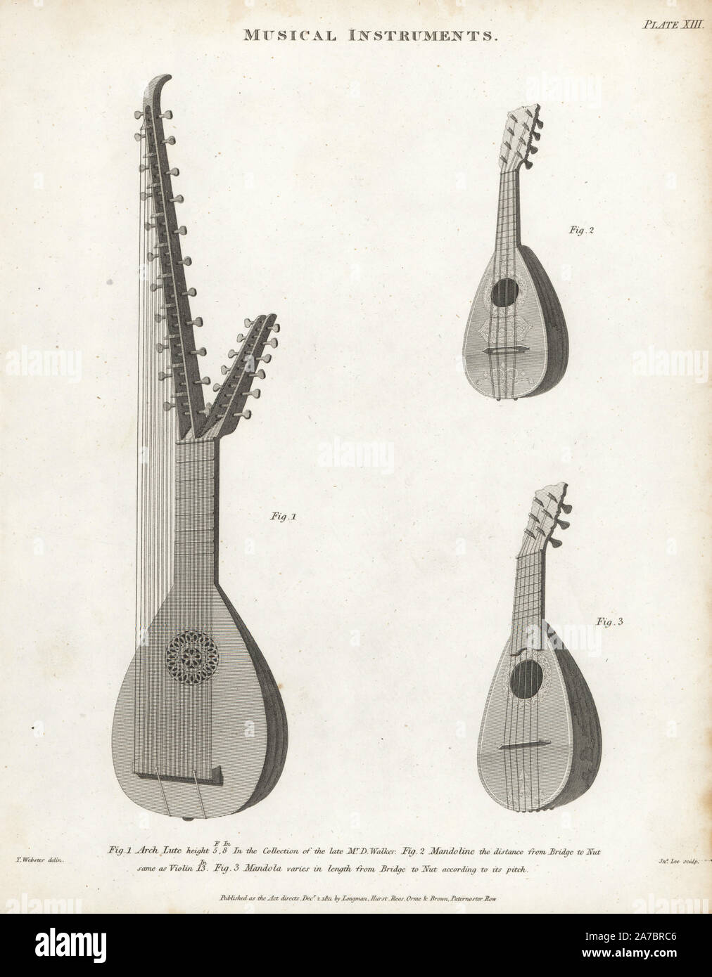 Il liuto ad arco (1), mandolino (2) e mandola (3). Incisione su rame di John Lee dopo un disegno da T. Webster da Abramo Rees' dell'enciclopedia o dizionario universale delle arti, scienze e letteratura, Longman, Hurst, Rees, Orme e marrone, Londra, 1820. Foto Stock