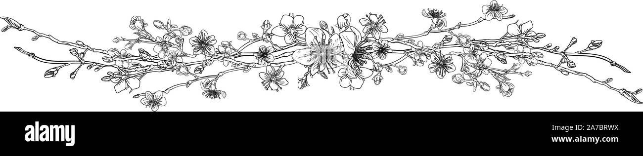 Cherry Peach Blossom design floreale elemento di modello Illustrazione Vettoriale