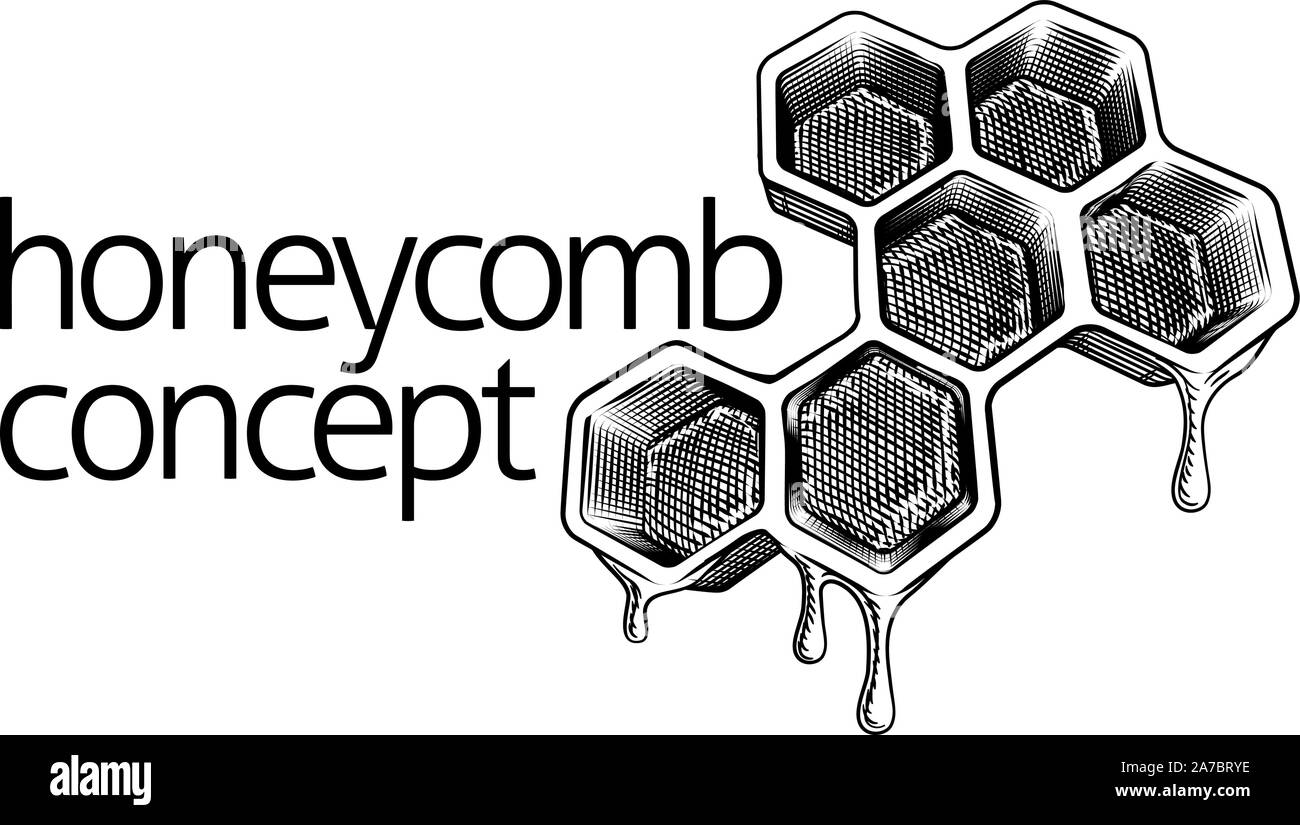 A nido d ape a gocciolamento con il concetto di miele Illustrazione Vettoriale