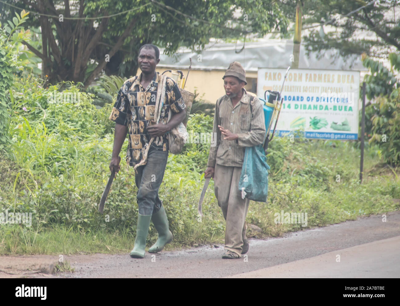 Strade di Camerun, area Sud Ovest, cosiddetto Ambazonia terra Foto Stock