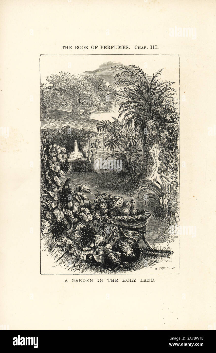 Un giardino in terra santa. Xilografia incisione di W. Thomas da Eugene Rimmel è il libro dei profumi, Londra, Chapman e Hall, 1865. Foto Stock