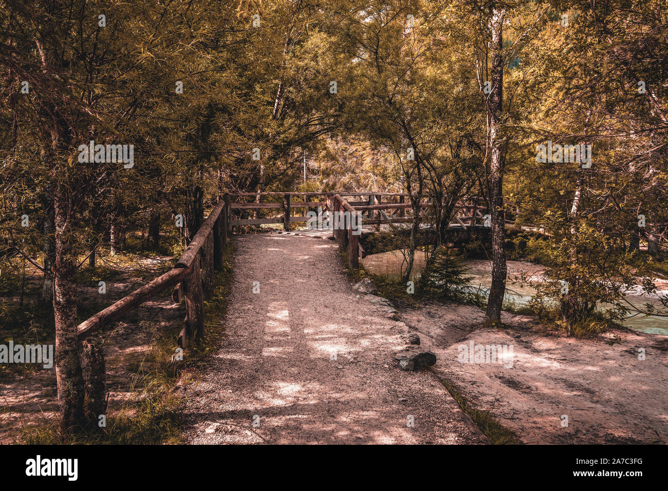 Percorso di foresta nel Parco Nazionale delle Dolomiti, Italia Foto Stock