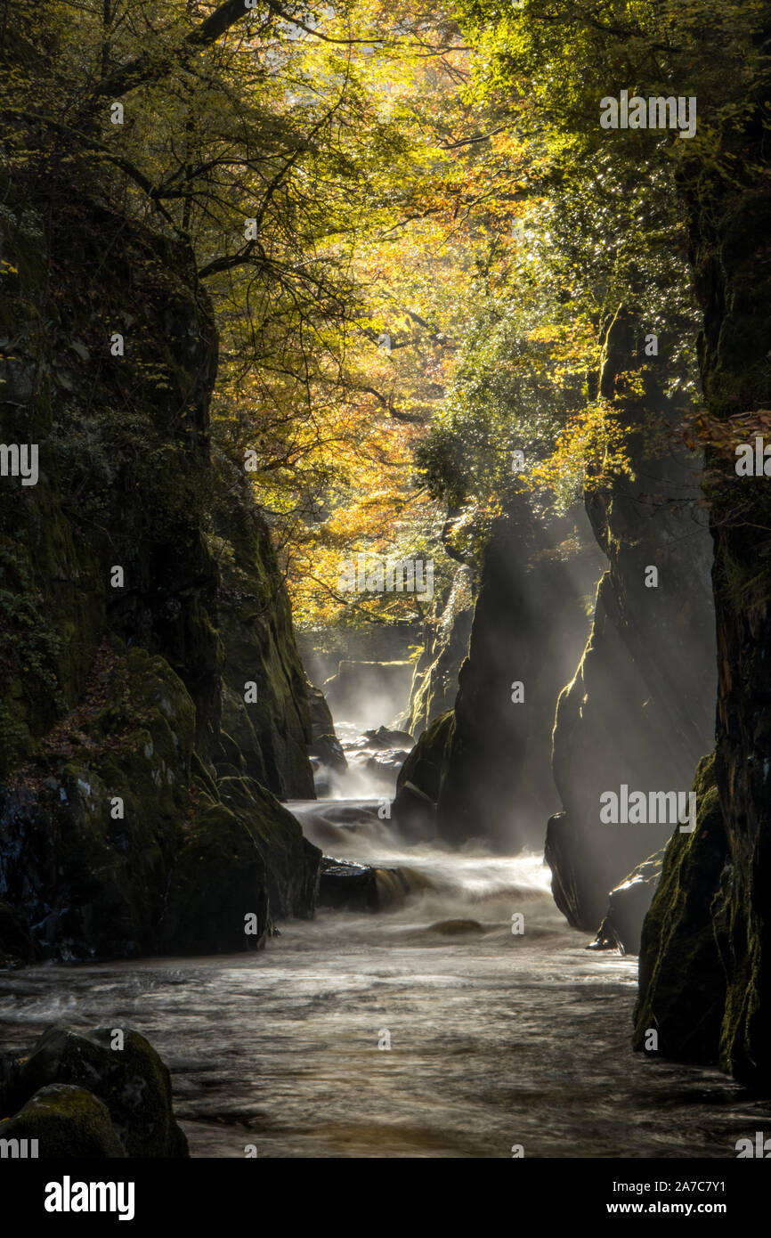 Fairy Glen Gorge - Parco Nazionale di Snowdonia Foto Stock