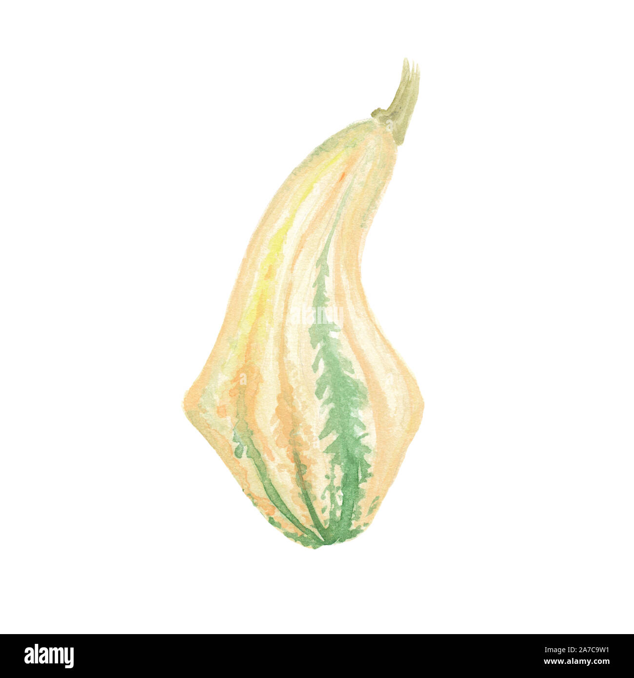 Mano ad acquerello bozzetto Zucca, autunno ringraziamento illustrazione dipinta isolati su sfondo bianco. Foto Stock